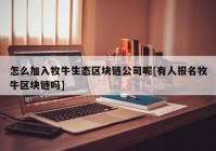 怎么加入牧牛生态区块链公司呢[有人报名牧牛区块链吗]