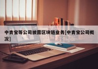 中青宝等公司披露区块链业务[中青宝公司概况]