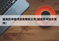 越南区块链项目有哪些公司[越南区块链交易所]